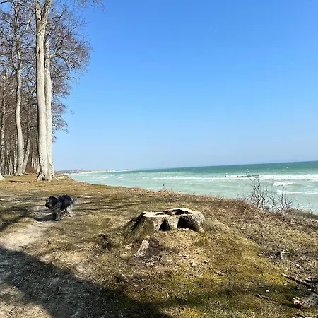 Betula Nature Gem At Harbolle Harbor * Askeby