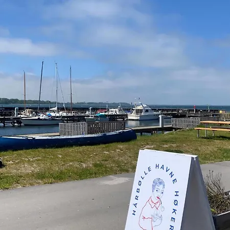 Betula Nature Gem At Harbolle Harbor