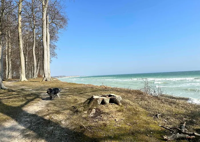 Betula Nature Gem At Harbolle Harbor * Askeby